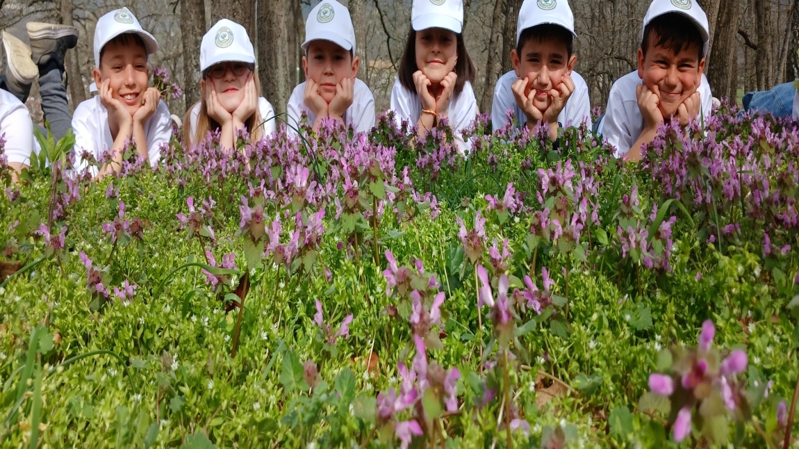 ENERJİ DOSTU MAVİ YEŞİL OKUL / TREKKING / DOĞA DOSTU SPORLAR
